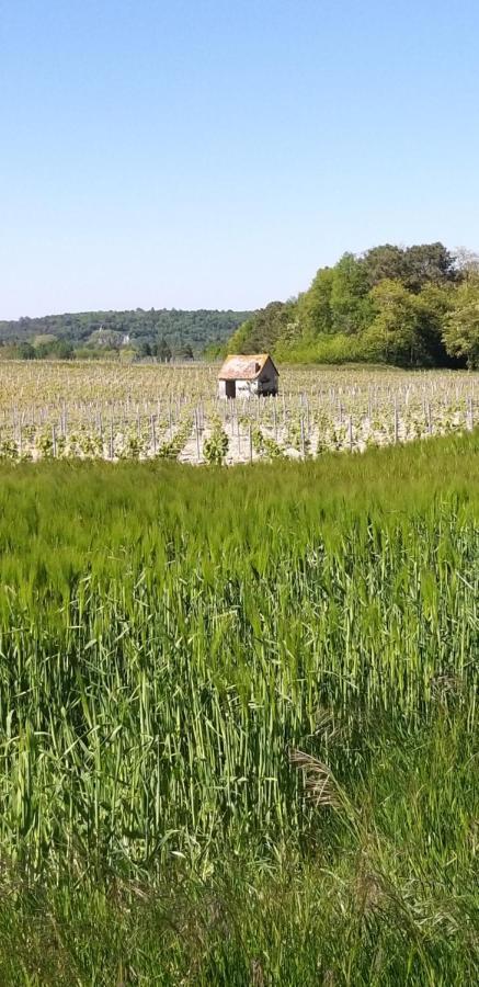 Le Clos De La Chesneraie Saint-Georges-sur-Cher Eksteriør bilde